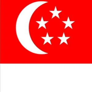 新加坡公司注册